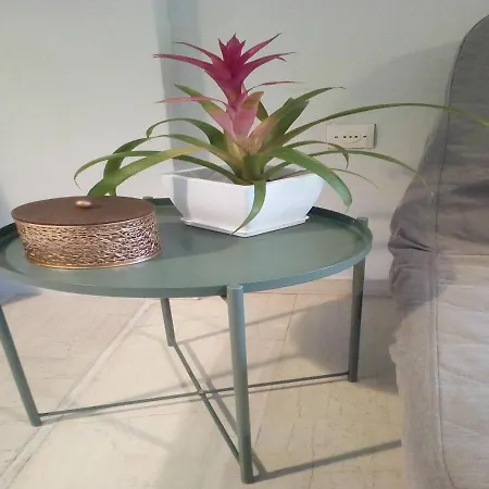 Sweet 80 τ.μ * 카르디차