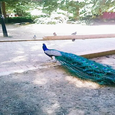 Sweet 80 τ.μ 카르디차